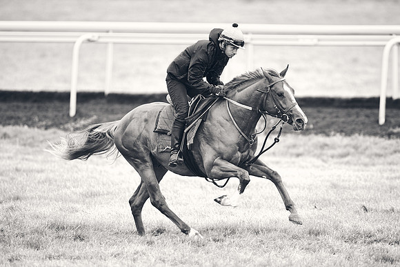 HORSES-IN-TRAINING-18TH-APR-DJ-1540