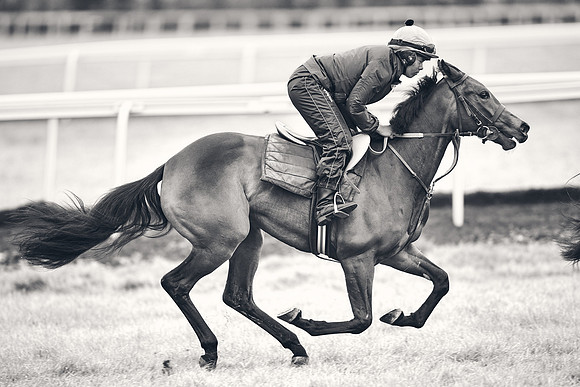 HORSES-IN-TRAINING-18TH-APR-DJ-1672