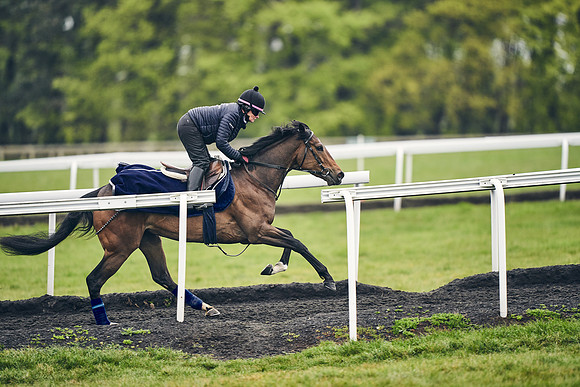 HORSES-IN-TRAINING-18TH-APR-DJ-1077