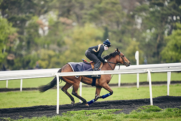 HORSES-IN-TRAINING-18TH-APR-DJ-1457