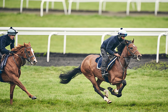 HORSES-IN-TRAINING-18TH-APR-DJ-1585