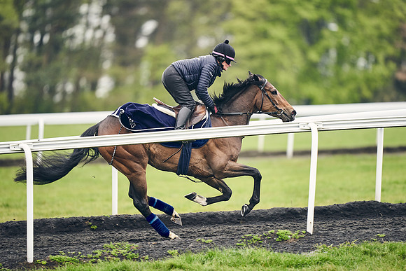 HORSES-IN-TRAINING-18TH-APR-DJ-1791