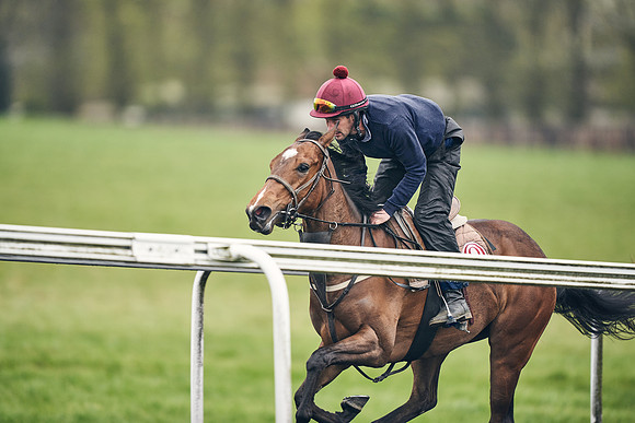 HORSES-IN-TRAINING-18TH-APR-DJ-2076