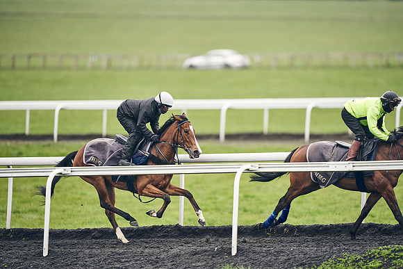 HORSES-IN-TRAINING-18TH-APR-DJ-1992