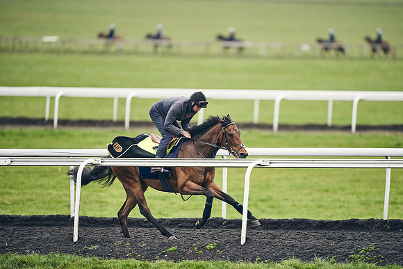 HORSES-IN-TRAINING-18TH-APR-DJ-1901