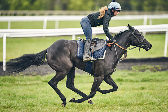 HORSES-IN-TRAINING-18TH-APR-DJ-1655