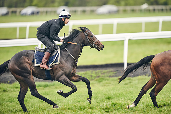 HORSES-IN-TRAINING-18TH-APR-DJ-1619