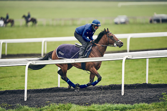 HORSES-IN-TRAINING-18TH-APR-DJ-1716