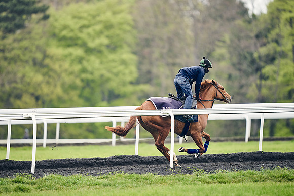 HORSES-IN-TRAINING-18TH-APR-DJ-1349