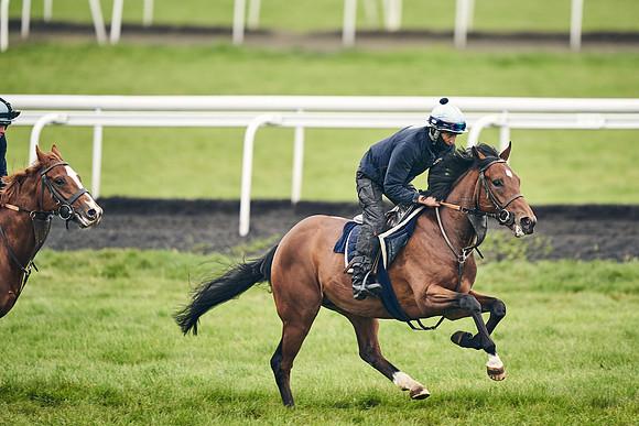 HORSES-IN-TRAINING-18TH-APR-DJ-1586