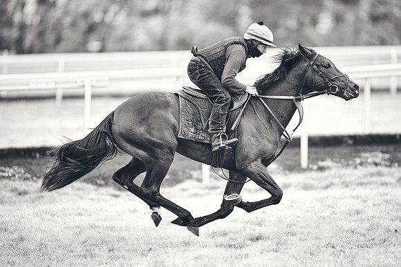 HORSES-IN-TRAINING-18TH-APR-DJ-1577