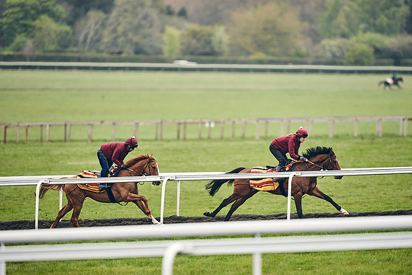HORSES-IN-TRAINING-18TH-APR-DJ-2030