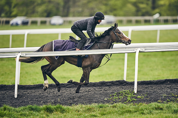 HORSES-IN-TRAINING-18TH-APR-DJ-2006