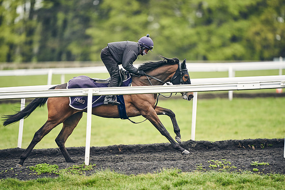 HORSES-IN-TRAINING-18TH-APR-DJ-1762