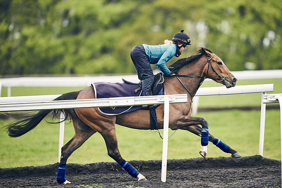 HORSES-IN-TRAINING-18TH-APR-DJ-1743