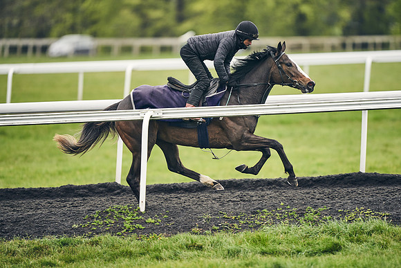 HORSES-IN-TRAINING-18TH-APR-DJ-2008