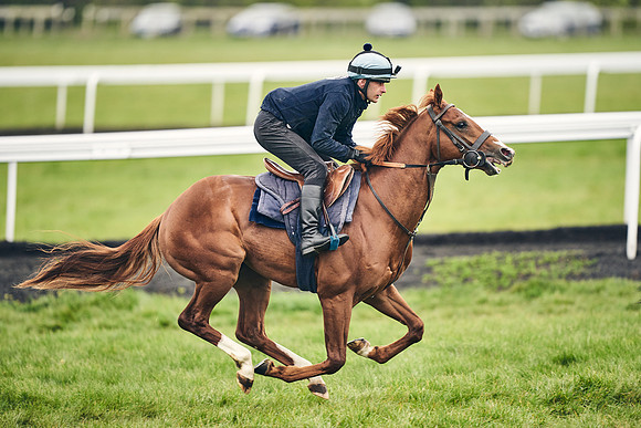 HORSES-IN-TRAINING-18TH-APR-DJ-1595
