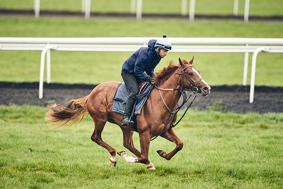 HORSES-IN-TRAINING-18TH-APR-DJ-1544