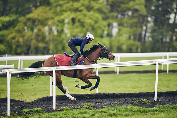 HORSES-IN-TRAINING-18TH-APR-DJ-1370