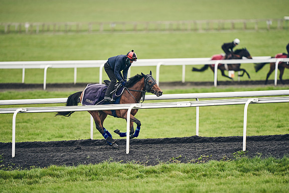 HORSES-IN-TRAINING-18TH-APR-DJ-1413