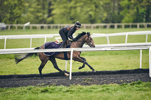 HORSES-IN-TRAINING-18TH-APR-DJ-1096
