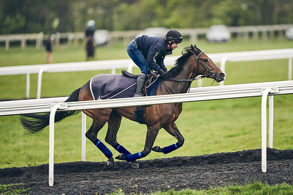 HORSES-IN-TRAINING-18TH-APR-DJ-1780