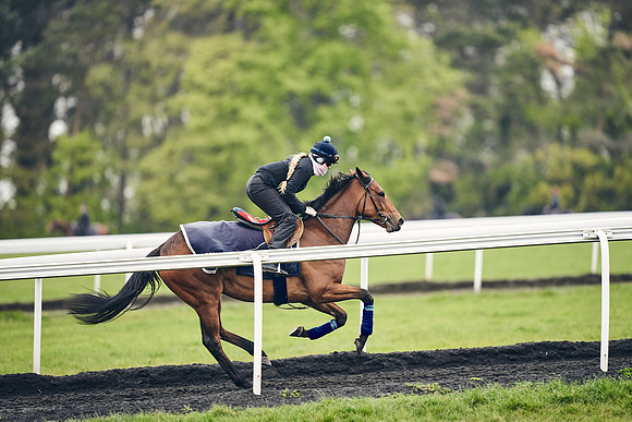 HORSES-IN-TRAINING-18TH-APR-DJ-1452