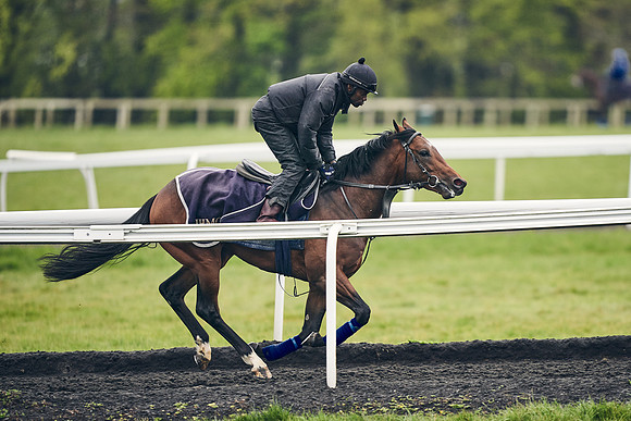 HORSES-IN-TRAINING-18TH-APR-DJ-1253