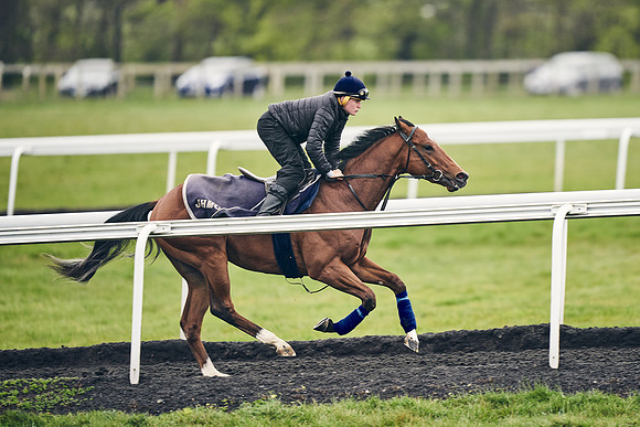 HORSES-IN-TRAINING-18TH-APR-DJ-1227