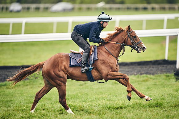 HORSES-IN-TRAINING-18TH-APR-DJ-1597
