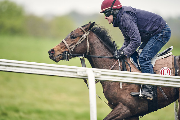 HORSES-IN-TRAINING-18TH-APR-DJ-2088
