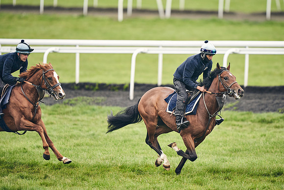 HORSES-IN-TRAINING-18TH-APR-DJ-1584