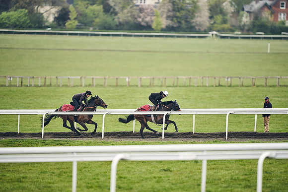 HORSES-IN-TRAINING-18TH-APR-DJ-1961