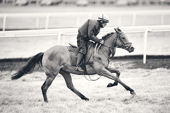 HORSES-IN-TRAINING-18TH-APR-DJ-1687
