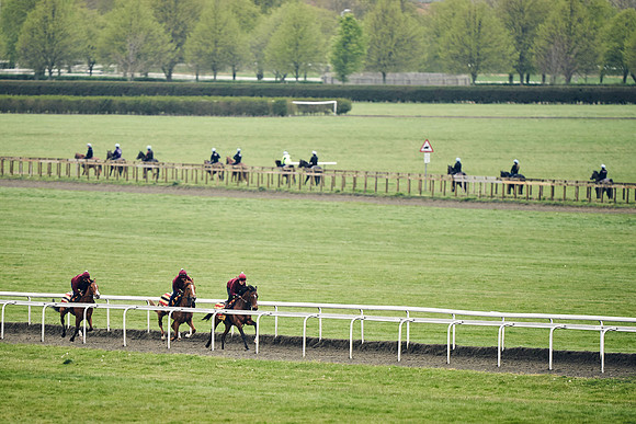 HORSES-IN-TRAINING-18TH-APR-DJ-2016