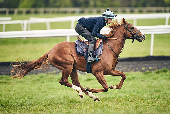 HORSES-IN-TRAINING-18TH-APR-DJ-1601