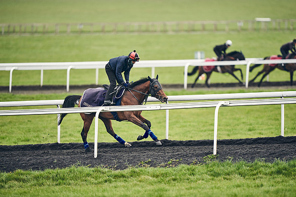 HORSES-IN-TRAINING-18TH-APR-DJ-1414