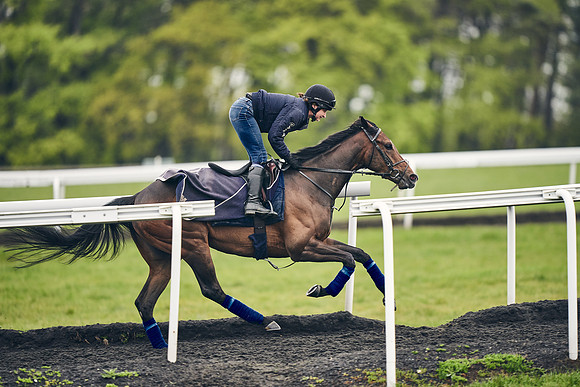 HORSES-IN-TRAINING-18TH-APR-DJ-1785