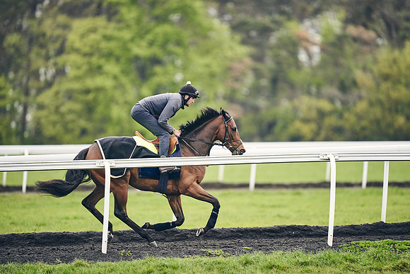 HORSES-IN-TRAINING-18TH-APR-DJ-1201