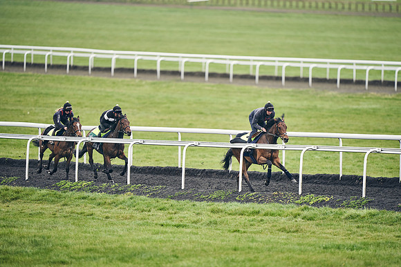 HORSES-IN-TRAINING-18TH-APR-DJ-1896