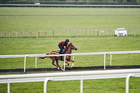 HORSES-IN-TRAINING-18TH-APR-DJ-1508