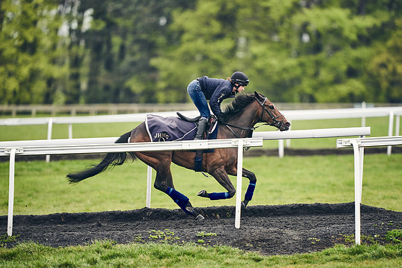 HORSES-IN-TRAINING-18TH-APR-DJ-1045
