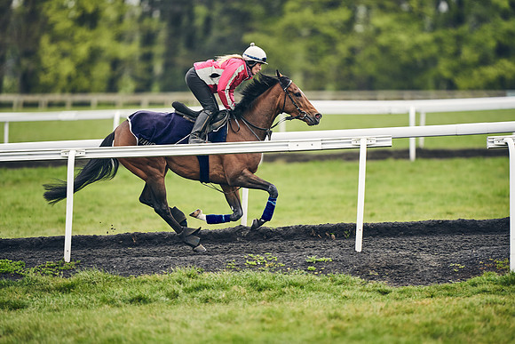 HORSES-IN-TRAINING-18TH-APR-DJ-1128
