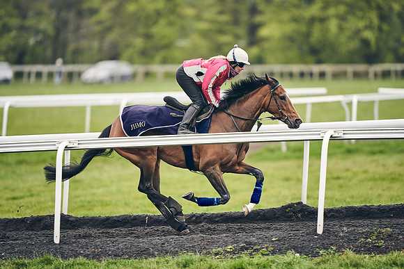 HORSES-IN-TRAINING-18TH-APR-DJ-1841