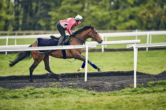 HORSES-IN-TRAINING-18TH-APR-DJ-1129