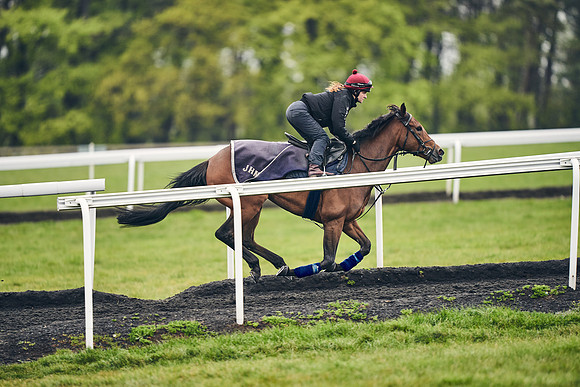 HORSES-IN-TRAINING-18TH-APR-DJ-1153