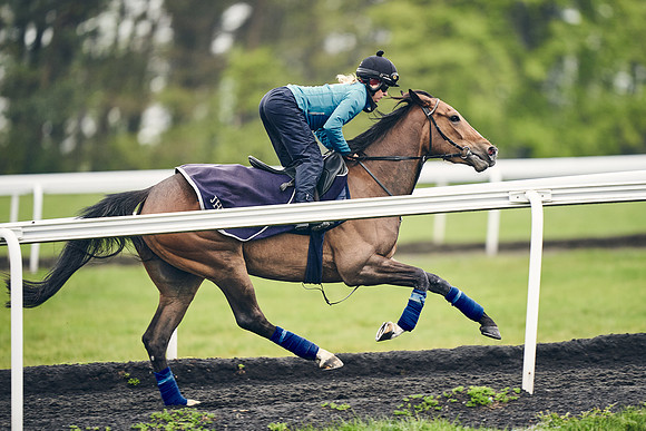 HORSES-IN-TRAINING-18TH-APR-DJ-1748