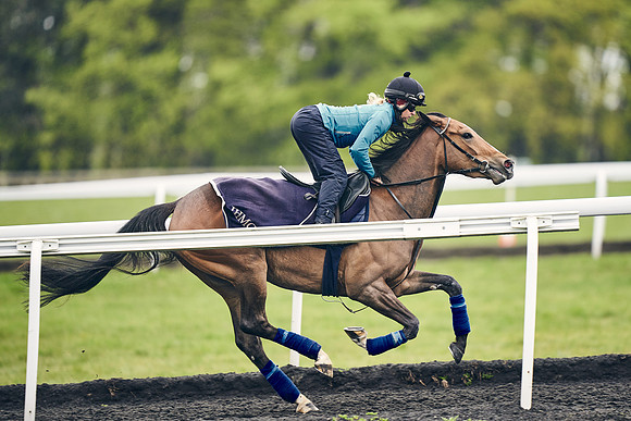 HORSES-IN-TRAINING-18TH-APR-DJ-1742