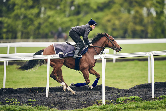 HORSES-IN-TRAINING-18TH-APR-DJ-1245