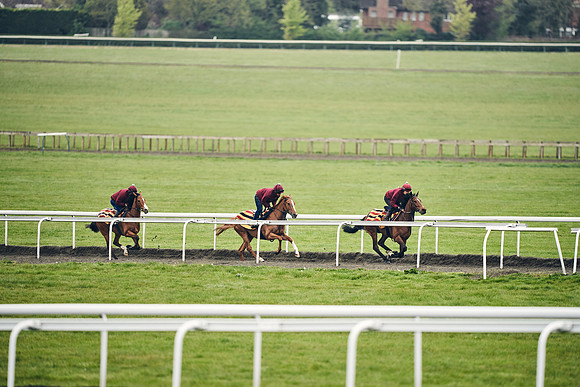 HORSES-IN-TRAINING-18TH-APR-DJ-2022